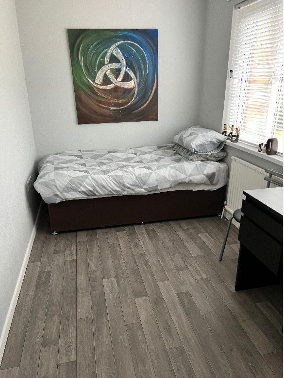 Macs Belfast Single Bedroom Esterno foto