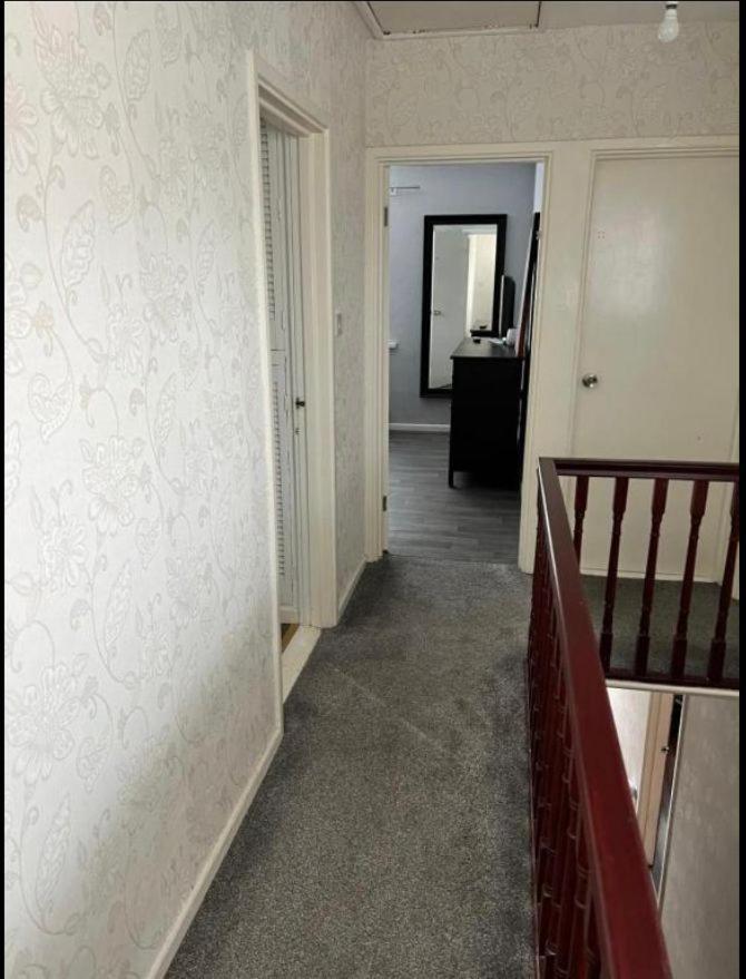 Macs Belfast Single Bedroom Esterno foto